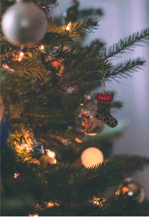 Merry Christmas 4 blog4 6 - Tavazo Blog