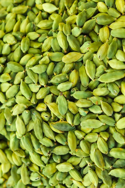 blog2 6 - Tavazo بلاگ