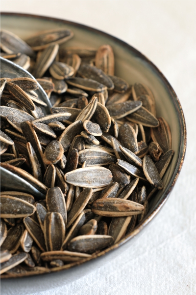 All About Seeds: Your Best Friend for Fun Days! 2 Sunflower Seeds